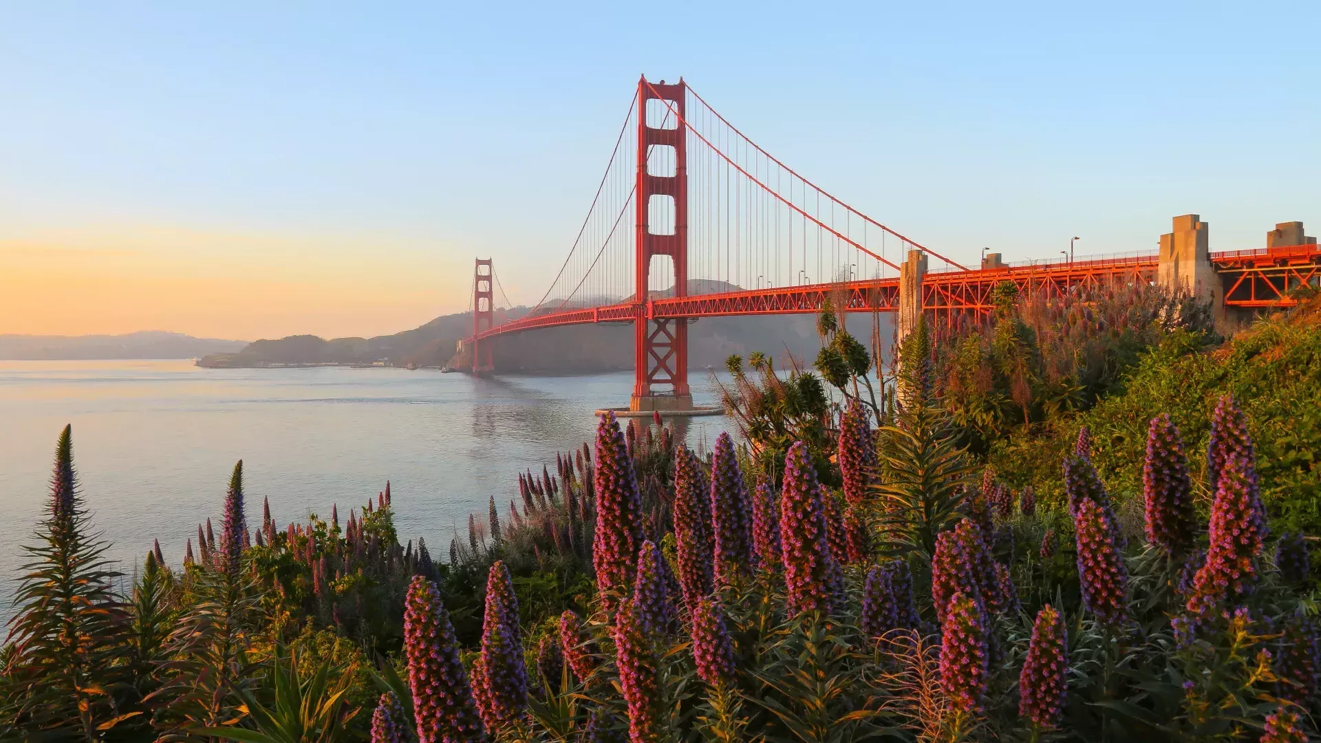 El Golden Gate Bridge aparece retratado con grandes flores en primer plano.